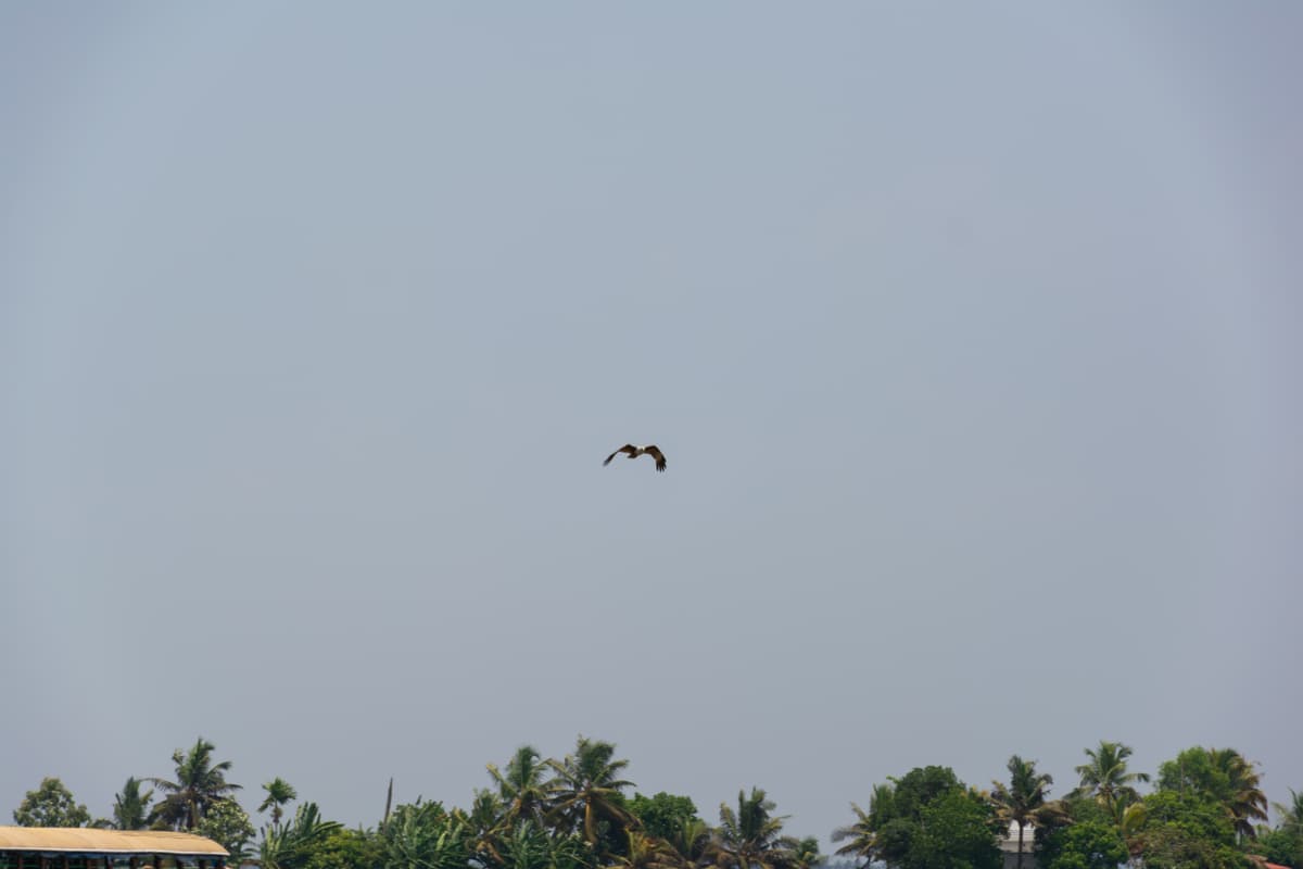 House Boat Image - 126