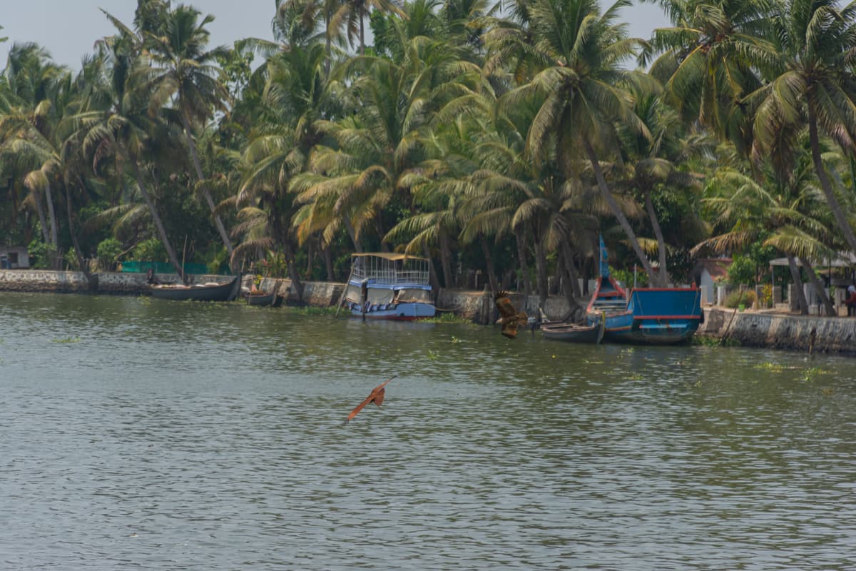 House Boat Image - 130